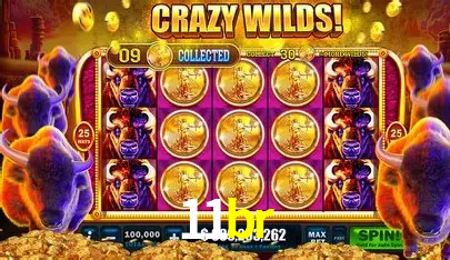 Ofertas Exclusivas 11br